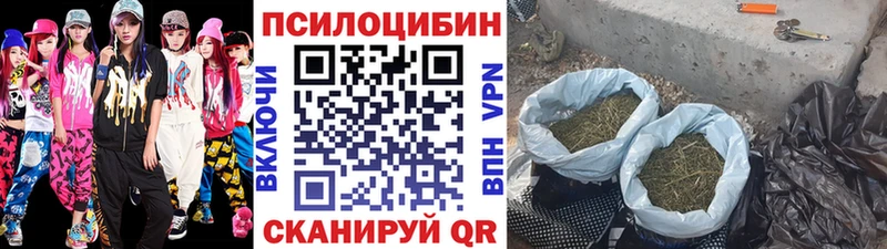 Псилоцибиновые грибы мицелий  Ишимбай 